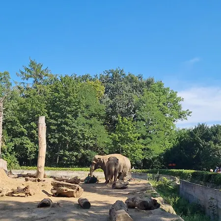 Apartman Merlin Wrocław