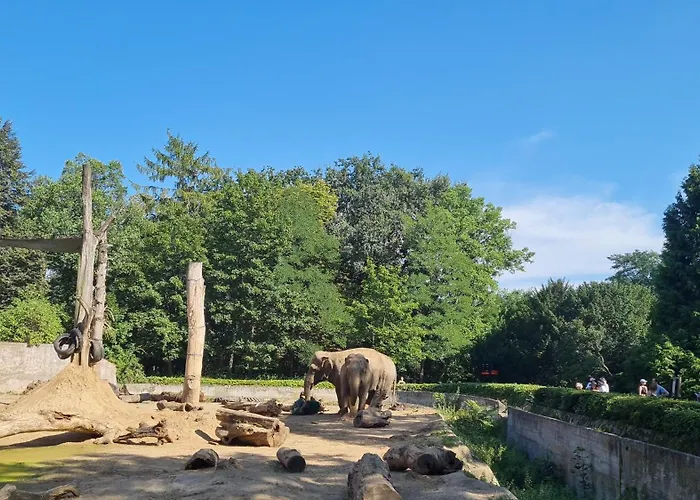 Apartman Merlin Wrocław